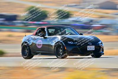media/Nov-16-2024-Extreme Speed (Sat) [[6587d07cc4]]/Orange Group/Session 1 (Turn 2)/